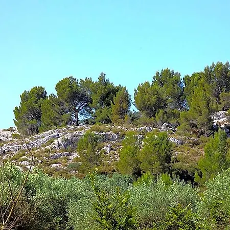 Le jardin du Castillon-2