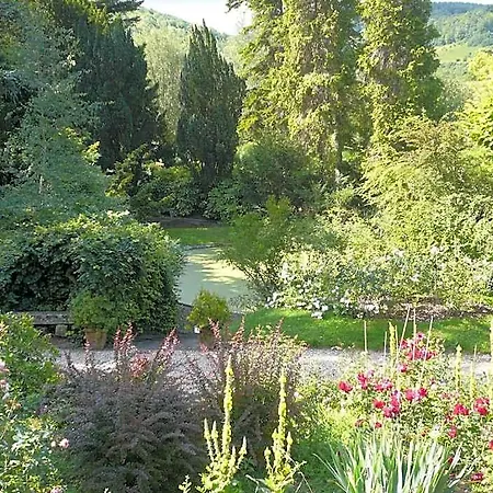 La Pluie De Roses-2