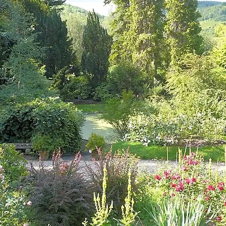 La Pluie de Roses-3