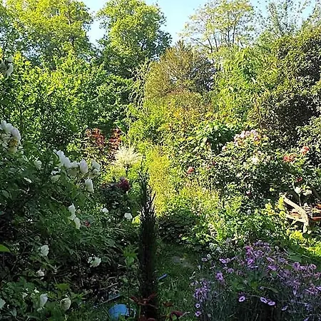La petite maison du jardin d'Apollon-3