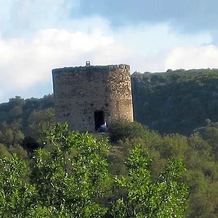 La Figuera-3