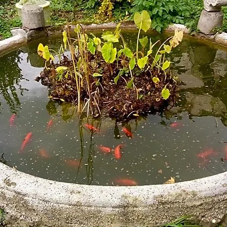 L'antico Giardino-2