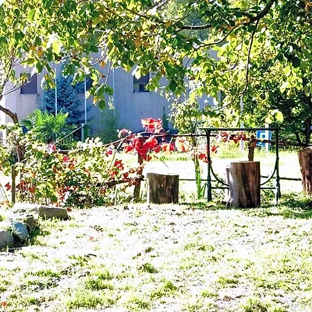 Il Faggio Rosso-2