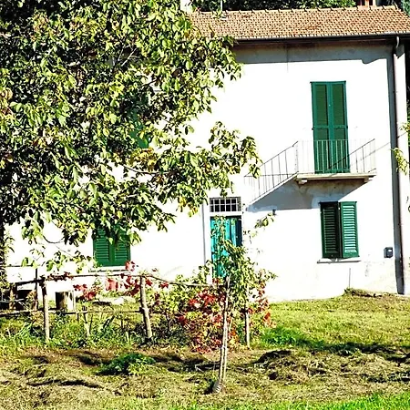 Il Faggio Rosso-3