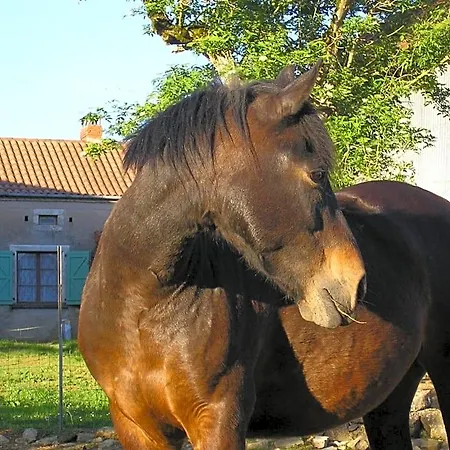 La Ferme Jarlan-3