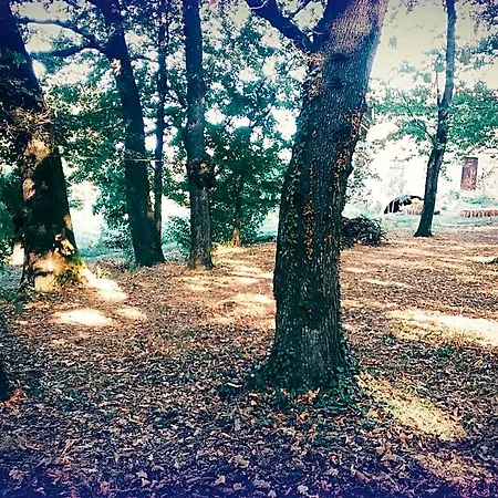 Cascina Bucolica-3