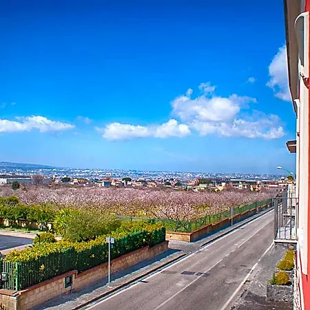 Bed And Breakfast Sommavesuvio-3