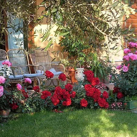 B&B La Dimora delle Calendule-2