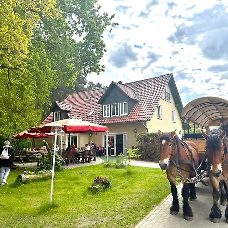 Pension Zum Rheinsberger Leuchtturm-2