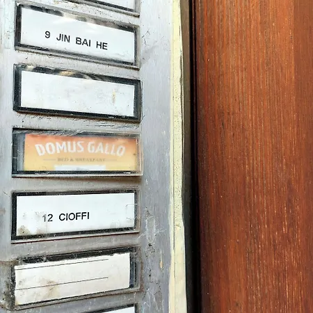 Domus Gallo-3