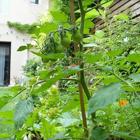 La Campagne à Paris B&B-2