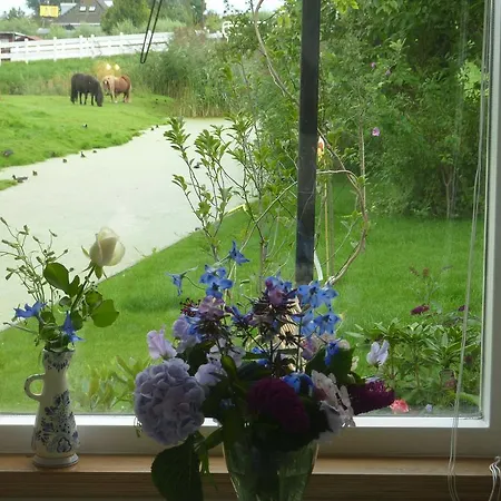 B&B Bloom-2