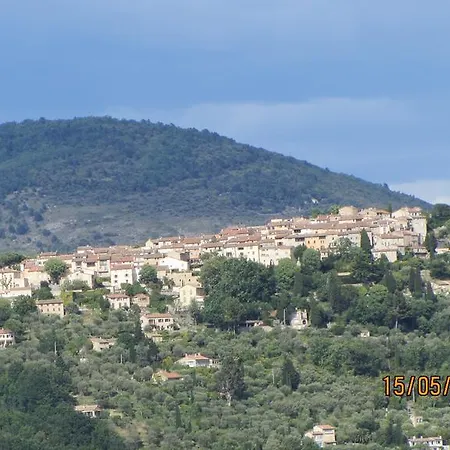 villa des oliviers-2