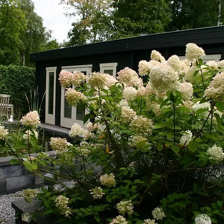 B&B Gaasterland-3