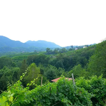 Agriturismo Casa di Campagna-2