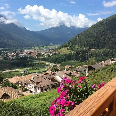 B&B La Marmotta-3