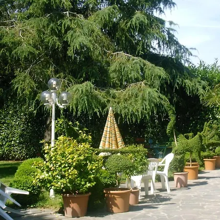 Forum Cassii-2