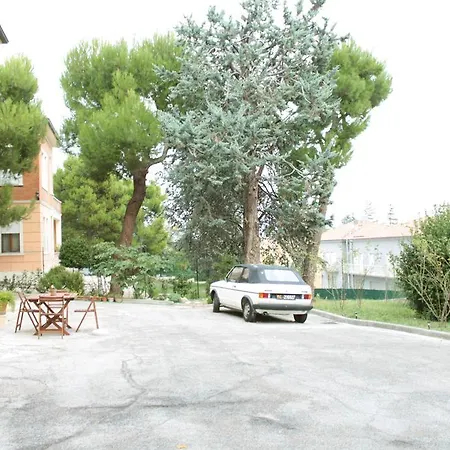 Pino Marittimo-2