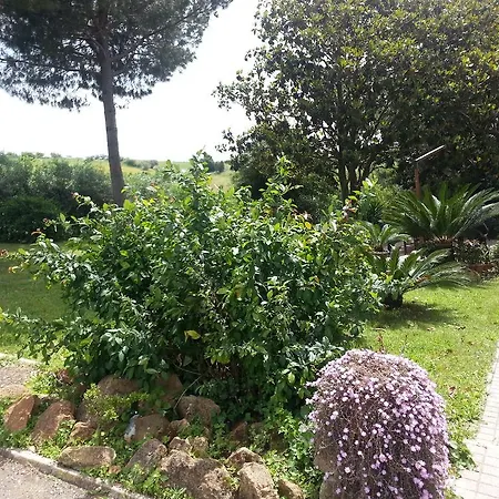 La Finestra Sul Cortile-2