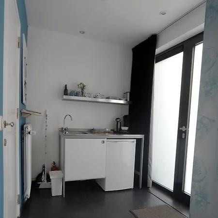 Het blauwe huis-3