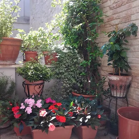 Il Covo dei Piccioni-3
