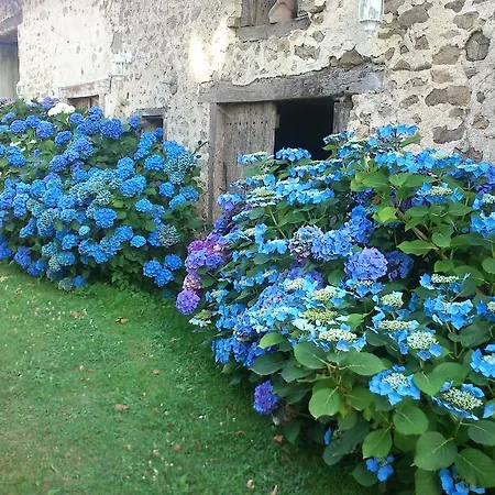 Le Domaine de Panissac-3
