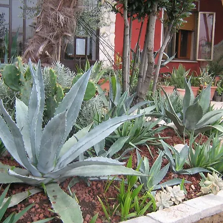 B&B Le Palme D'Oro-2