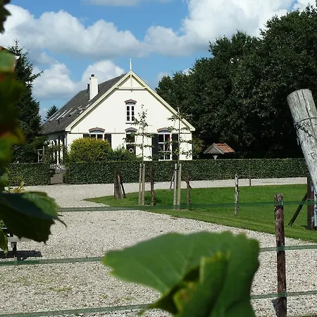 B&B Hofstede De Groote Laar-2
