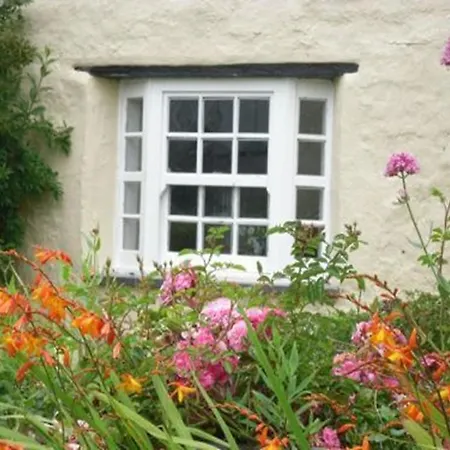 Higher Tresmorn Farm-3