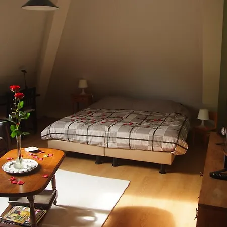 B&B Noflik Haule-2
