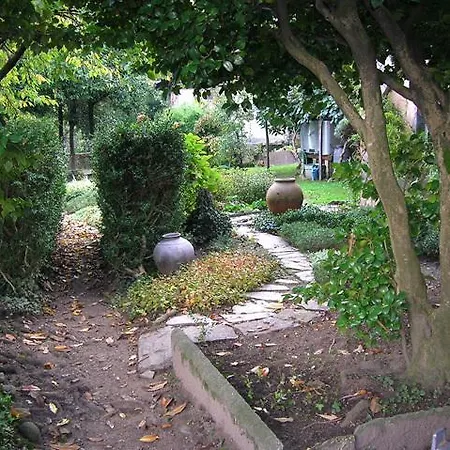 Le Camelie-2