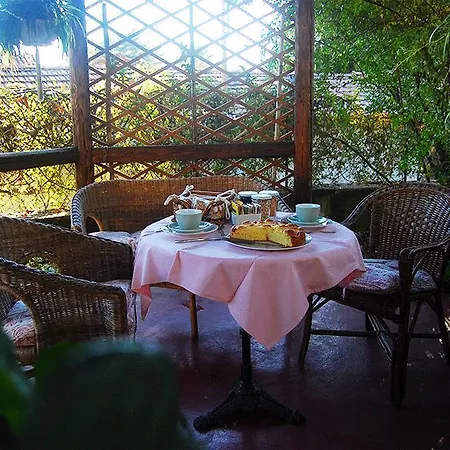 Le Camelie-2