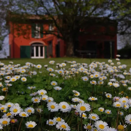 B&B L'Alberone-2