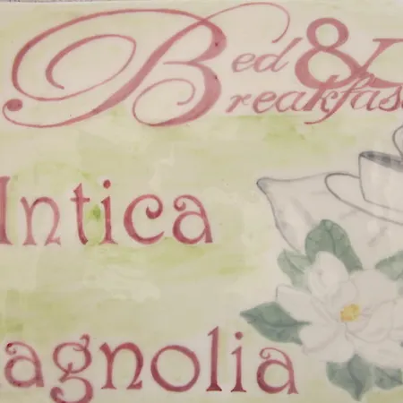 Antica Magnolia-3