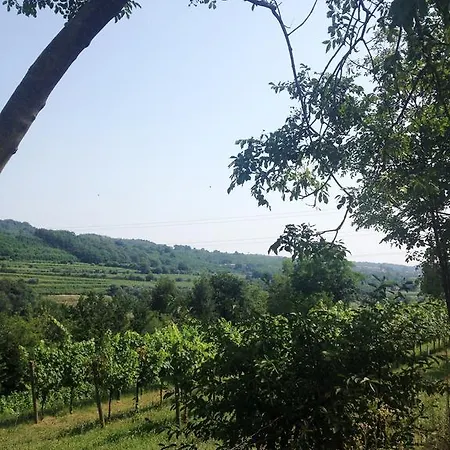 B&B Maccalle Oasi Franciacorta-2