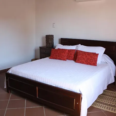 La Casa Amarilla-2