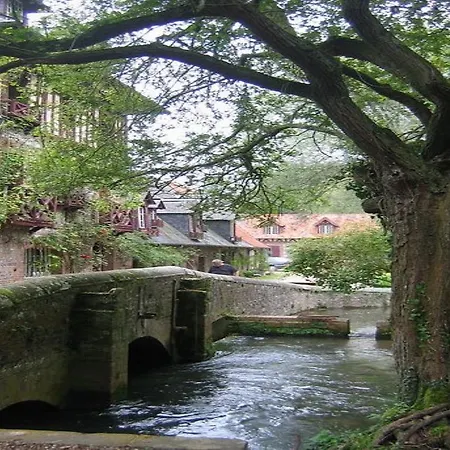 Le Moulin Fleuri du Petit Appeville-3