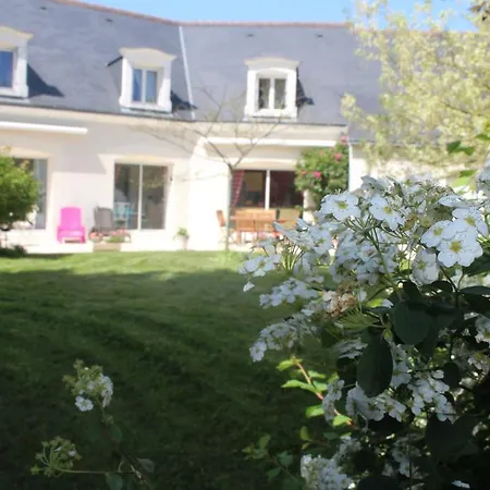 Le Clos Des Roses-3