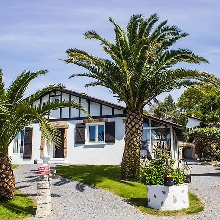 Villa Yoda-2
