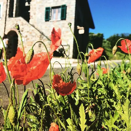 Agriturismo Angiò nel Cerè-2
