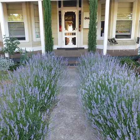 La Maison St Arnaud-3