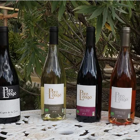 Chambre d'Hôtes Domaine Pero Longo-3