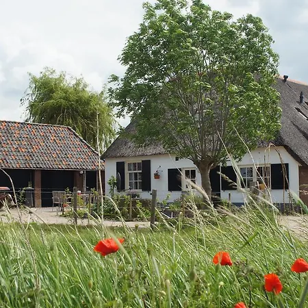 Bed&Breakfast de Bosakker-2
