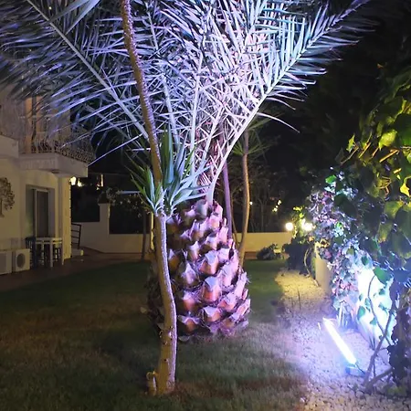 Lapis Port Surf Hotel-3