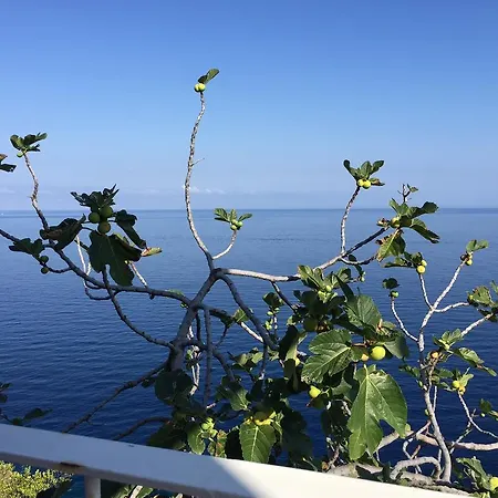 Costa Viola-2