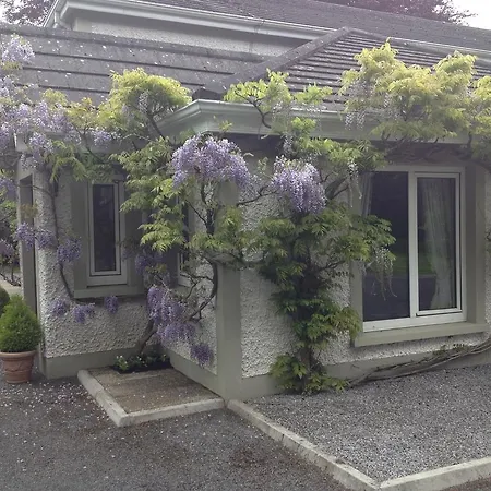 Sea Dew B&B-3