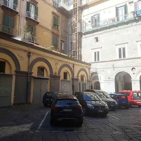 Royal Dante-3