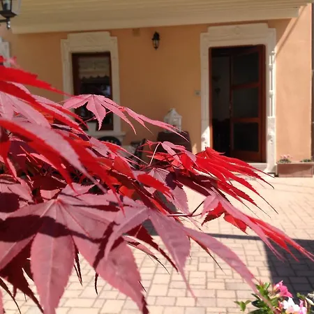 B&B Acero Rosso-3