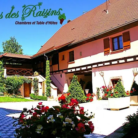B&B Le Clos des Raisins-3