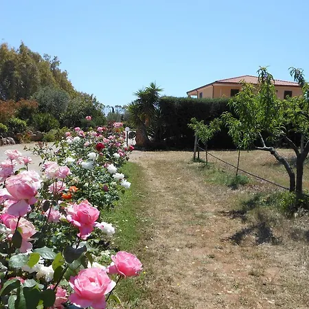 Bed And Breakfast Le Camelie-2